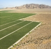 The Green Desert: Dubai’s Push for Sustainable Agriculture